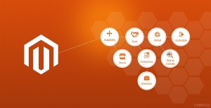 Magento Website Development