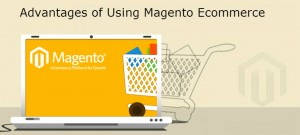 Magento Ecommerce